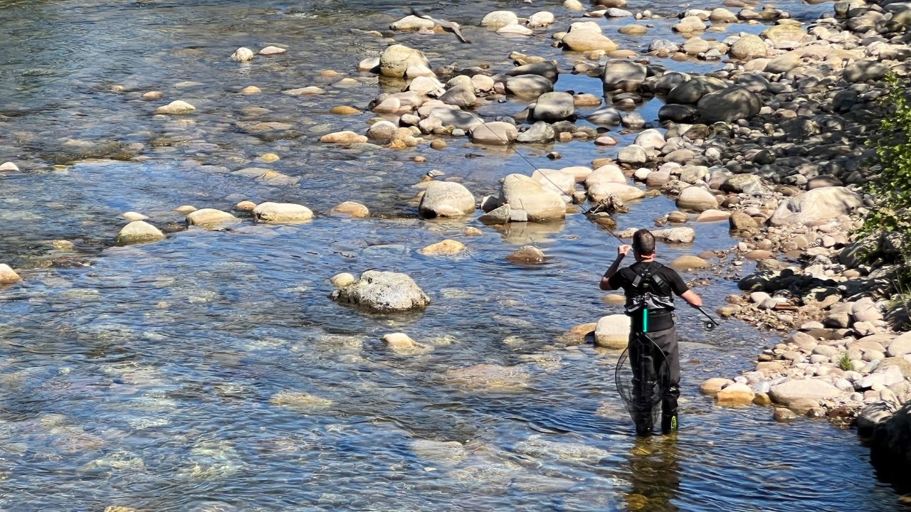 El Campanu De Cantabria Lleva Sello Asturiano Un Pescador Astur