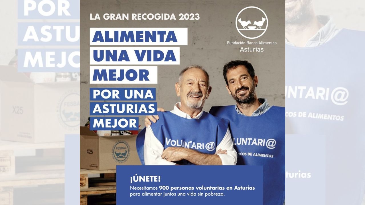 La Gran Recogida Del Banco De Alimentos Aspira A Conseguir