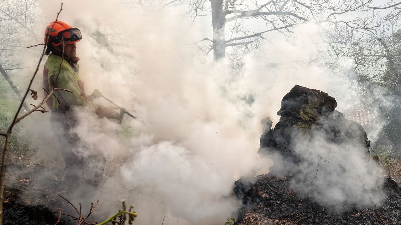 Qué Hacer Ante Un Incendio Forestal: Consejos A Seguir Frente A Las Llamas